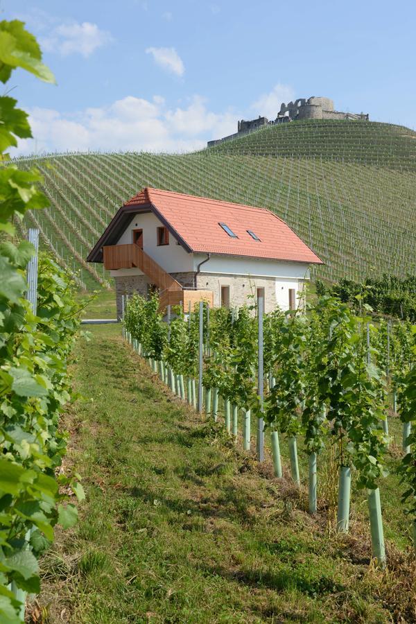 Готель Weingut Taggenbrunn Занкт-Файт-ан-дер-Ґлан Екстер'єр фото