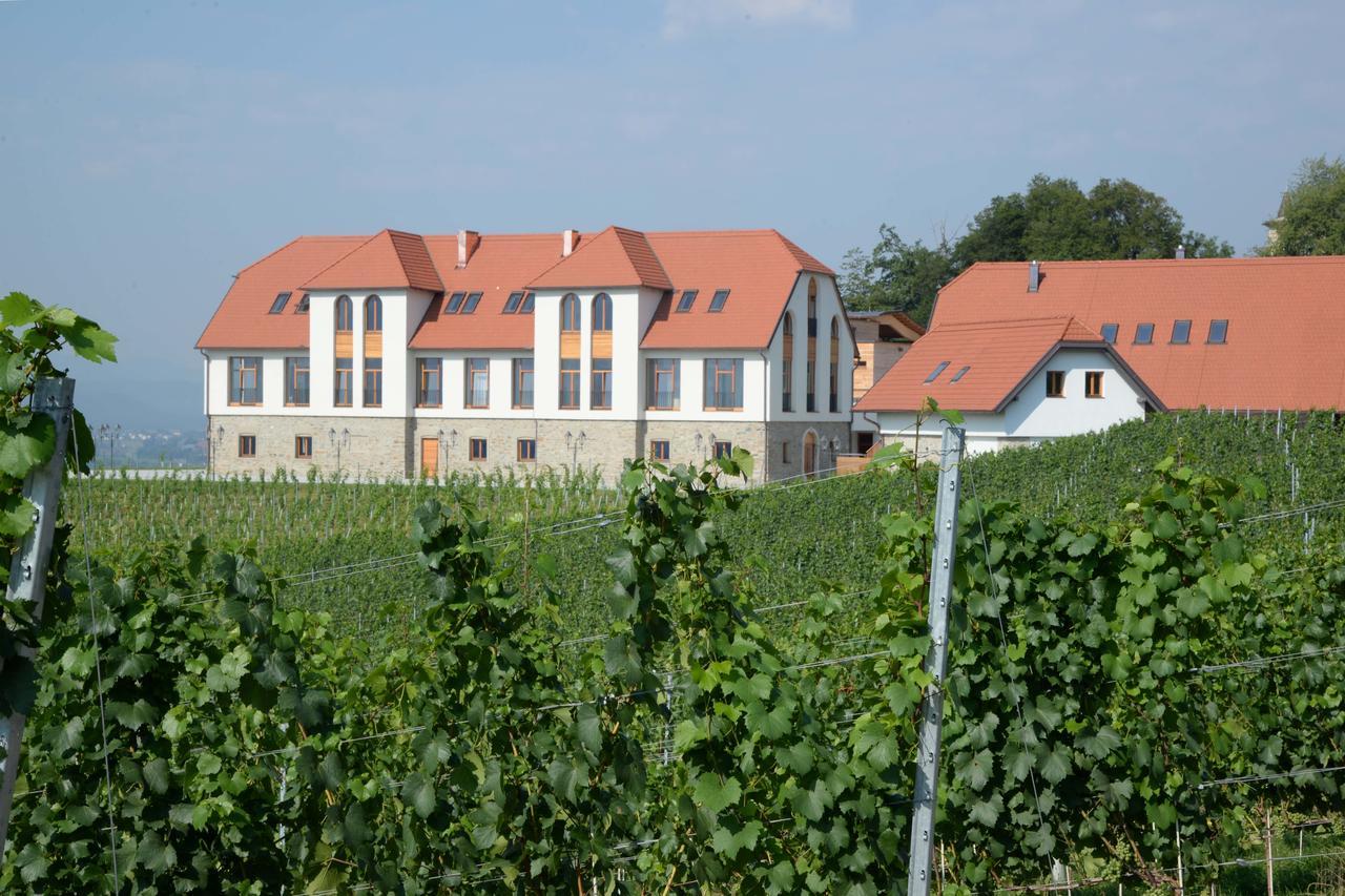 Готель Weingut Taggenbrunn Занкт-Файт-ан-дер-Ґлан Екстер'єр фото