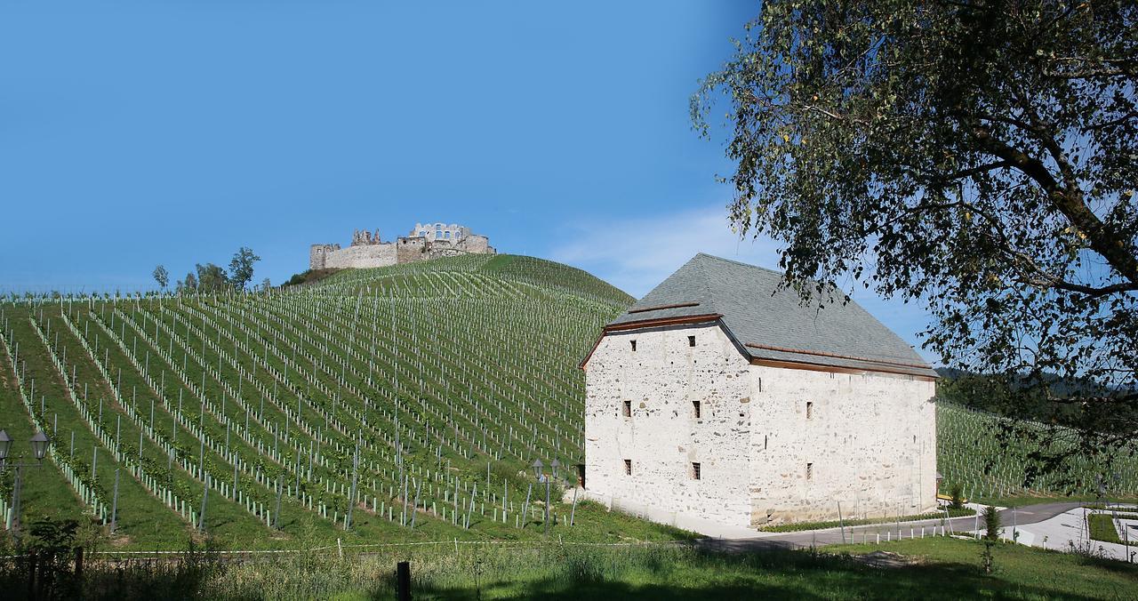 Готель Weingut Taggenbrunn Занкт-Файт-ан-дер-Ґлан Екстер'єр фото