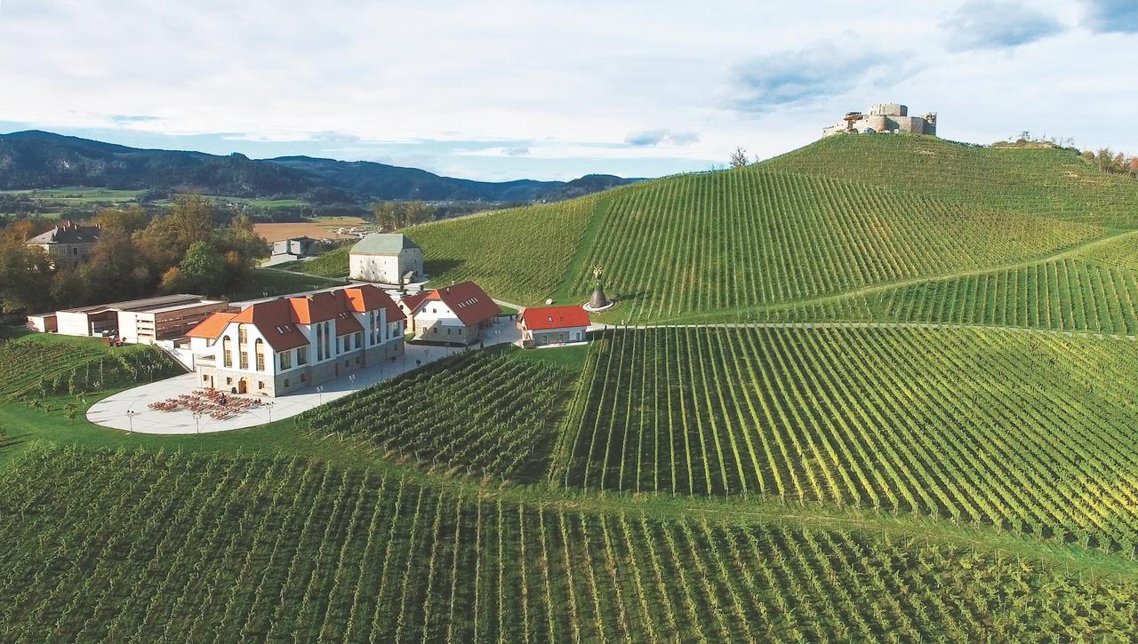 Готель Weingut Taggenbrunn Занкт-Файт-ан-дер-Ґлан Екстер'єр фото